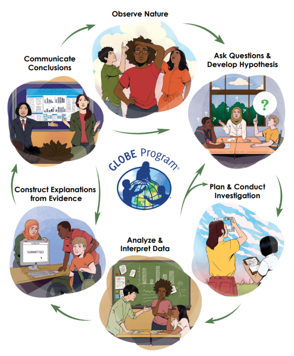 Diagram of scientific process, with arrows pointing to and from each step: 1) Observe nature; 2) Ask questions and develop hypothesis; 3) Plan and conduct an investigation; 4) Analyze and interpret data; 5) Construct explanations from evidence; 6) Communicate conclusions